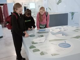 b_1024_768_0_00_images_2023_2024_Swiniuch_Klasy5CNL_410586871_820444716550145_3902118128215906325_n